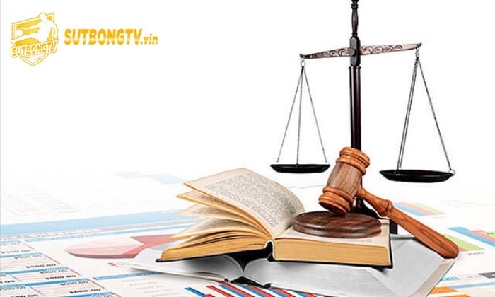 Bản quyền 3 Quy định khi sử dụng và chia sẻ nội dung SutbongTV