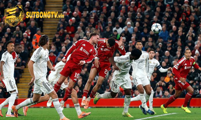 Câu hỏi thường gặp 1 Tính năng có trên SutbongTV