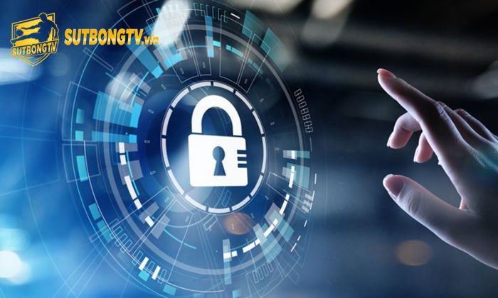 Chính sách bảo mật đối với nội dung do người dùng cung cấp