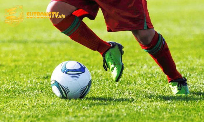 Kèo Tài Xỉu 2.5 là gì? Bật mí cách đọc kèo chuẩn cho người mới 1 Kèo Tài Xỉu 2.5